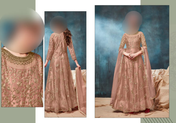 Twisha-Aanaya-95000-series-95004-Net-Embroidered-Gown-Style-Party-Wear-Anarkali-Dress